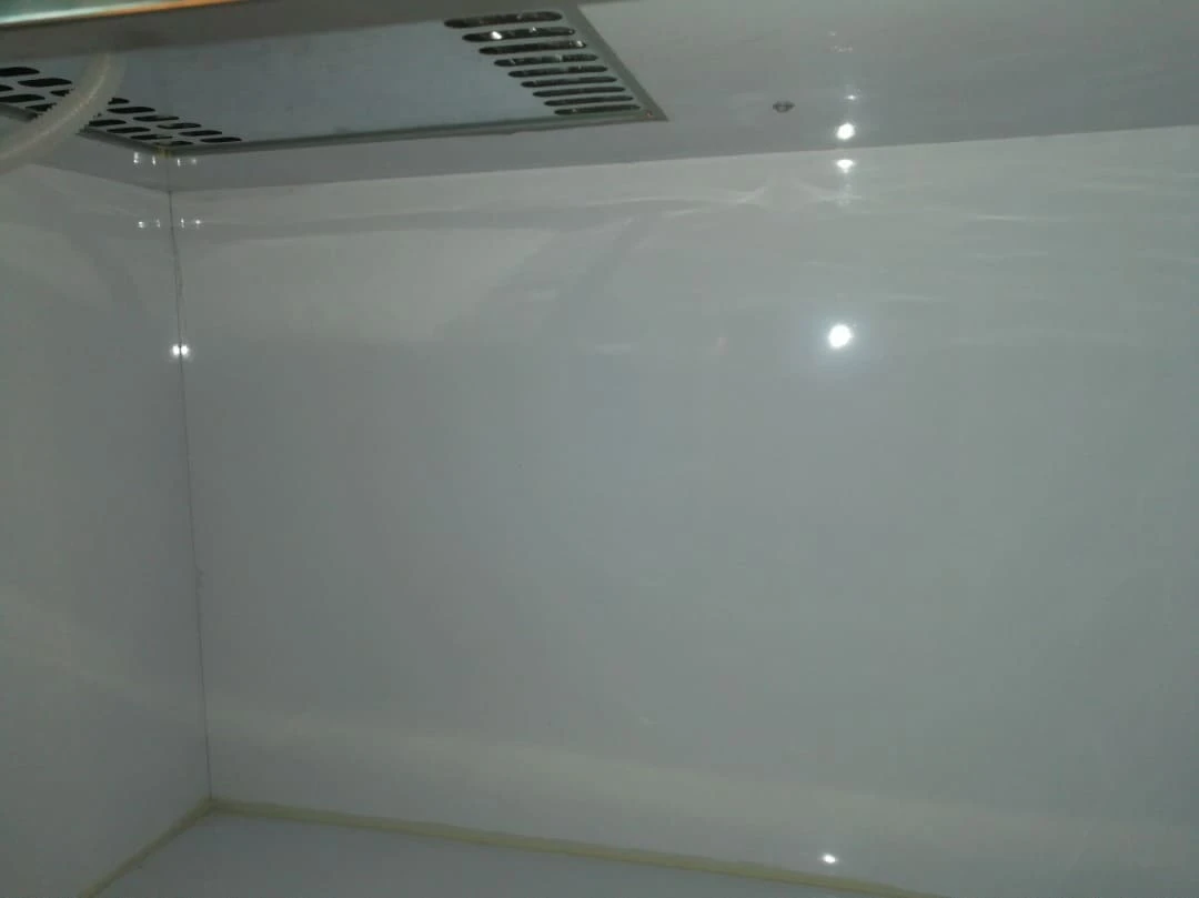 electric ice cream bike freezer